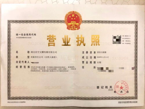 星空文耀 專業(yè)工商注冊(cè)實(shí)體工作室，高價(jià)收購(gòu)飛盧太監(jiān)書及財(cái)務(wù)咨詢